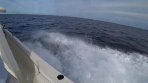 Обзор катера SeaRay SFB 290. Volvo penta AD41B\DP290.