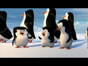 Пингвины из Мовави Видео Редактор (Озвучка с матом)