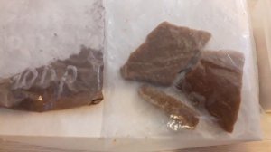 Корма для аквариумных рыбок / Артемия / циклоп / аулофорус