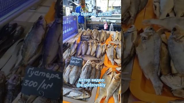 Одесса Привоз  Цены на тарань и воблу 17.08.2023#одесса #привоз #обзорцен #привозодесса #shorts
