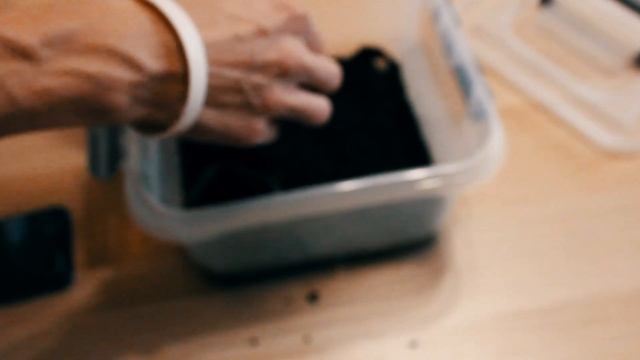 КАК В ДОМАШНИХ УСЛОВИЯХ СОДЕРЖАТЬ ОЛИВКОВОГО КИВСЯКА смотреть онлайн