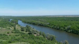 Леса в Ростовской области куда поехать за грибами на рыбалку или просто отдохнуть