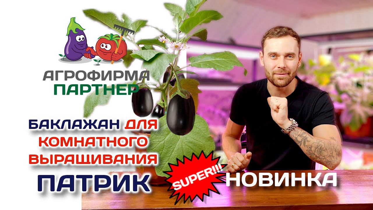 Все проверяем на себе! Как мы выбирали баклажан | #баклажанПатрик #новинкабаклажана