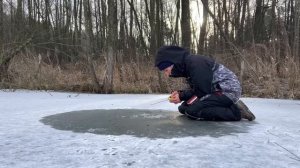 СПІЙМАЛА ОКУНЯ НА ЖИВЦЯ А ПОТІМ КЛЮНУЛА ВОНА!!! Так гатило не встигала ловити живця!