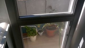 Зимний сад дома