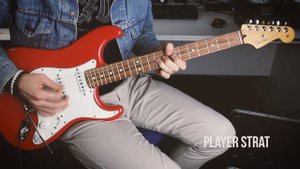 Fender Stratocaster Player vs Standard