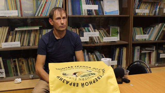 Как выкормить стрижа?