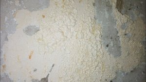 Как смыть краску с бетонных стен без специальных приборов, в домашних условиях