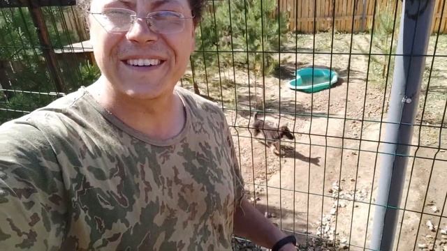 Сегодня хочется подключить все вольеры к воде .