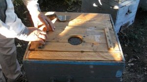 Как кормить пчел осенью в безвзяточный период?