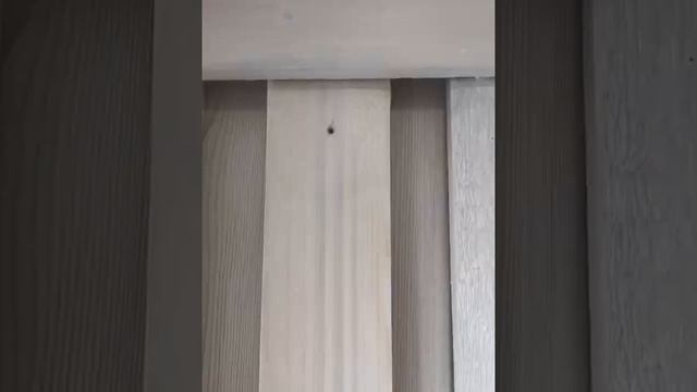 Шкаф для инструмента из паллет. смотреть онлайн