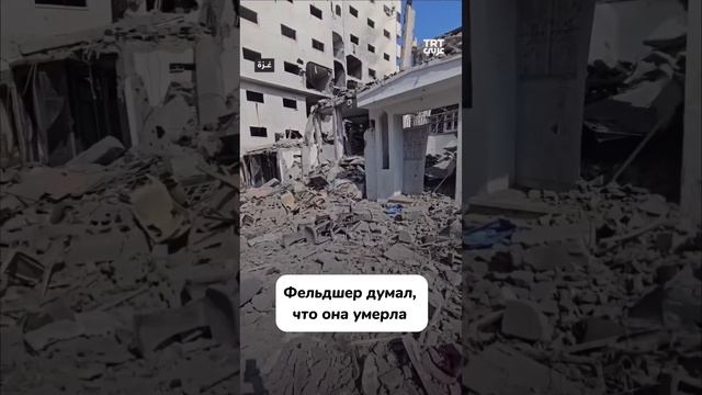 история одной бабушки из Палестины #freepalastine смотреть онлайн