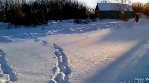 самодельный багги