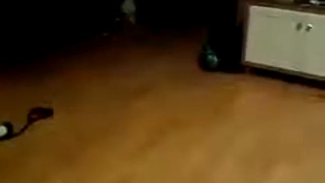 скользкий пол