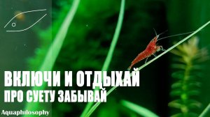 Включи и отдыхай. Аквариум под музыку. Aquarium Relax. Lo-Fi