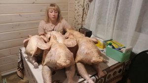 Подводим итог по выращиванию индейки?