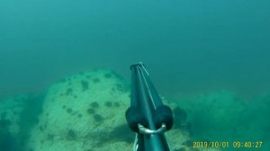 Подводная охота . Приморский край