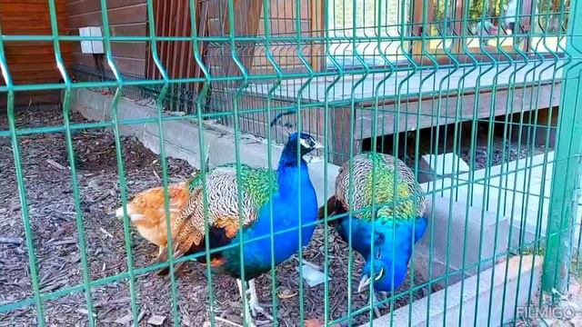 День Города, Москва 876, парк Яуза 10.09.23 г. ✴️ Поздравляю всех в Днём города Москва!! ✴️ смотреть онлайн