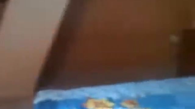 (0142) Совиньон. Недорогая часть дома посуточно у моря