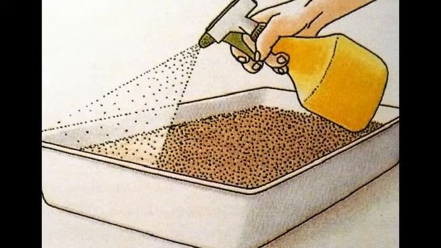 посев семян душистого табака смотреть онлайн