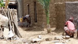 #58 Золото Ганы - масло ши. Дом, где делают масло ши.