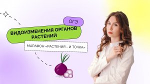 День 3. Видоизмененные органы растений и практика – Марафон «Растения – и точка» | ОГЭ 2023