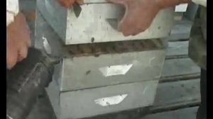 Альпийский улей