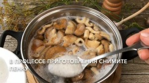 Засолка волнушек на зиму — видео рецепт