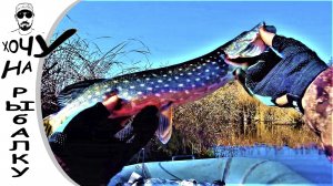 Отличная осенняя рыбалка на щуку и окуня. Замечательный день. 13.10.2019