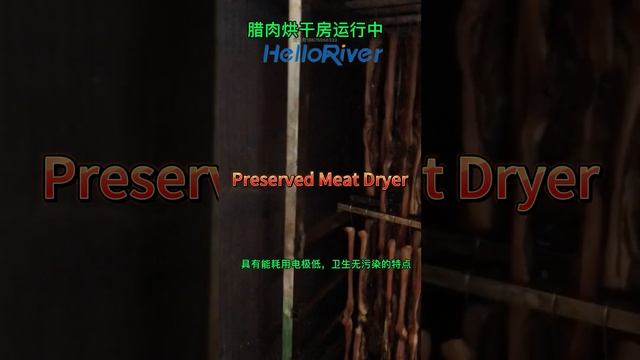 Hot sale fish meat dryer industrial meat drying machine seafood dryer #meatdryer