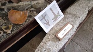 Крым .Судак.Древность и история.  Генуэзская крепость.