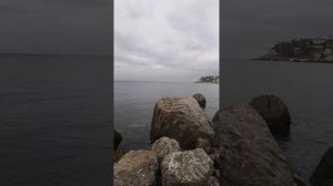 Чёрное море, морские утки