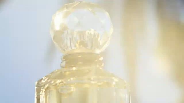 Roberto Cavalli - "Paradiso" - New Perfume смотреть онлайн