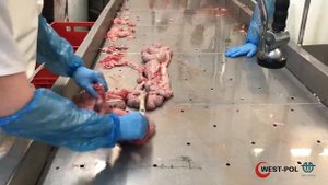 Производство натуральной оболочки для колбасной промышленности Poland. Трудоустройство в ЕС.