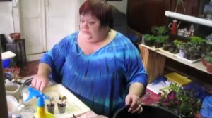 колеусы вегетативные в декабре