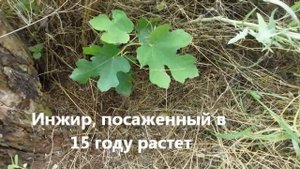 Ейское укрепление ?2016