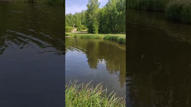 Прогулка по Кировградскому пруду