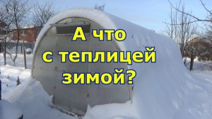 Три важных вопроса о теплице зимой: открывать ли двери, закидывать ли внутрь снег, очищать ли крышу?