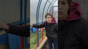 КАК И ЧЕМ Я МОЮ СВОИ ТЕПЛИЦЫ ??МАРГАНЦОВКА + ХОЗЯЙСТВЕННОЕ МЫЛО?? ОТЛИЧНО ОТМЫВАЕТ И ОБЕЗЗАРАЖИВАЕТ