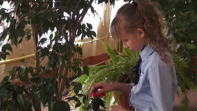 Озеленение школы смотреть онлайн