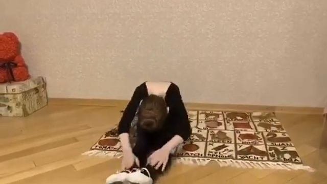 029_05 Я тренируюсь дома!