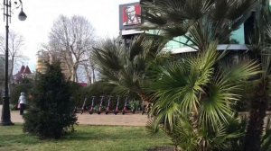 Отдых СОЧИ в Январе. Погода СОЧИ январь 2021. МОРЕ в Январе.