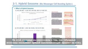 Freedra Exosome Ample полное завоевание!