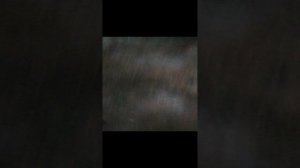 Видео на улице