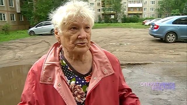 В подвале в Дзержинском районе ТСЖ «замуровало» кошек: жители требуют снять решетки смотреть онлайн