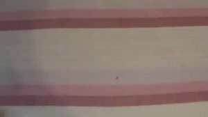 12 калибр VS 410