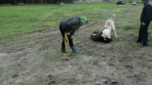 DSC_4426 online-video-cutter.com