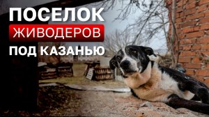 Поселок живодеров под Казанью