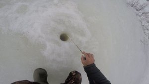 Ловля уклейки зимой, уклейка зимой видео rybachil.ru