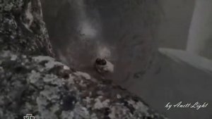 Удержи Моё сердце Кот/мура